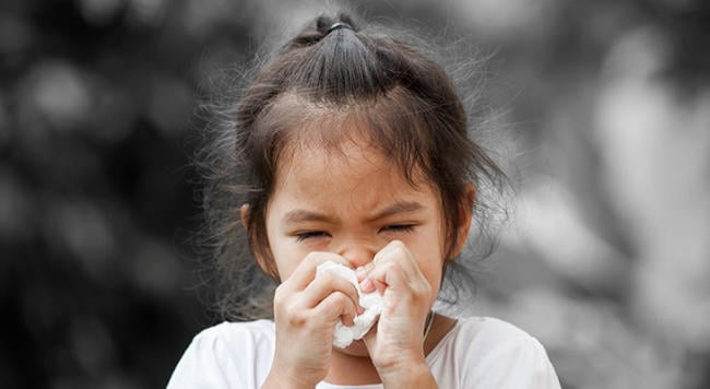Viêm mũi dị ứng ở trẻ em: Những điều mẹ nên lưu ý