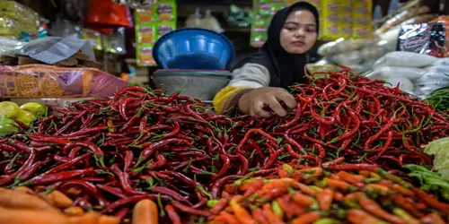 Meningkatnya Harga Cabai Rawit Dari Rp 10.840 Melonjak Hingga Rp 51.090 per Kg